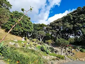 На территории сада