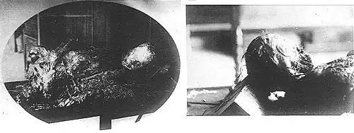 Труп Гуффэ на обследовании