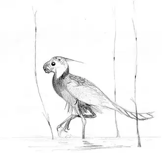 Ценагнатазия