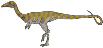Реконструкция, основанная на Coelophysis