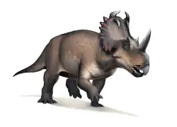 Centrosaurus apertus