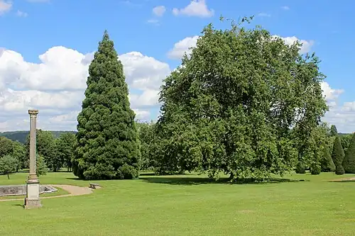 Пейзажный парк