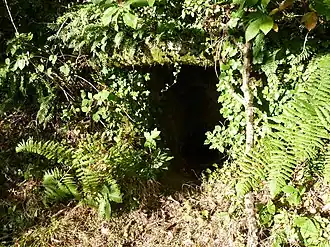 Доисторическая погребальная пещера