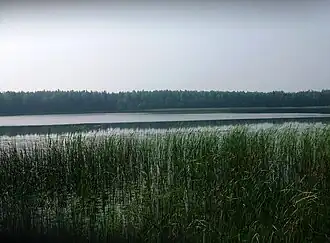 Западная часть озера