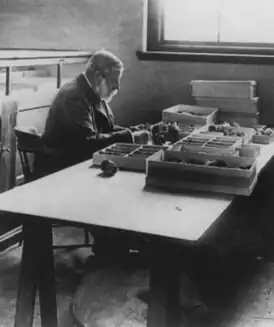 Чарльз Спрэг Сарджент в лаборатории Арнольд-Арборетума