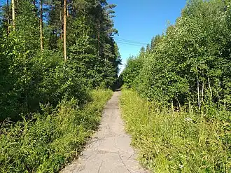 Пешеходная дорожка от СНТ «Сокол» к станции.