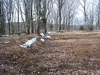 Остатки земляных укреплений форта Милрой.