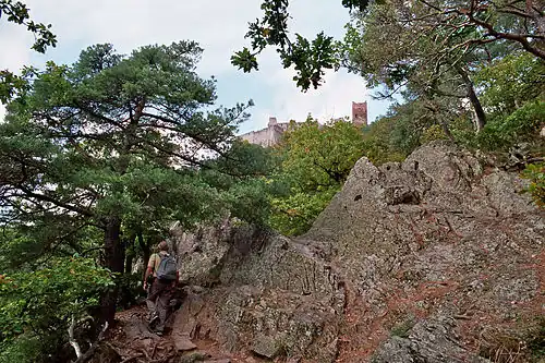 Вид замка из долины
