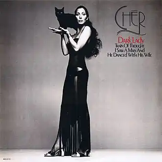 Обложка альбома Шер «Dark Lady» (1974)