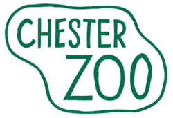 Изображение логотипа