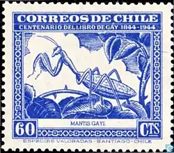 Богомол Coptopteryx gayi на марке Чили 1948 года — первая марка с изображением богомола