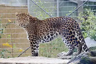 Зоопарк Хеллабрунн, Мюнхен