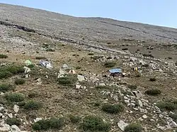 Лагерь экспедиции