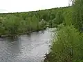Река Чуть. Начало лета. Полная вода