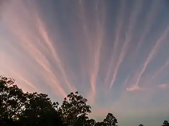 Перистые облака вечером