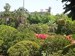 Городской ботанический сад