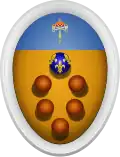 Герб Медичи, сеньоров Оттаяно