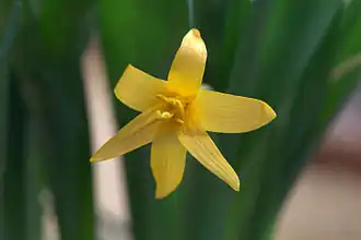 Нет доступного изображения