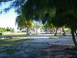 Колледж Типута