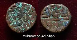 Монеты Мухаммада Адил-шаха Сури