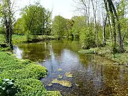 Река Бюллидур