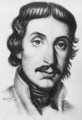 Михай Чоконаи Витез