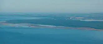 Лес Калбин на берегу залива