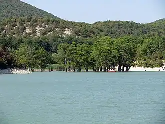 Вид на затопленную кипарисовую рощу в начале осени 2015 года.