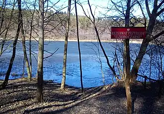 Озеро Чарне, Ландшафтный парк «Пуща-Зелёнка»