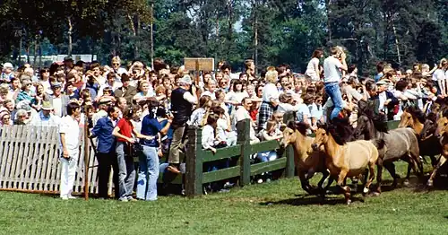 Шоу Wildpferdefang в 1982 году