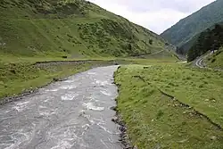 Пирикительская Алазани у села Дартло