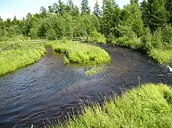 Вид на низовье реки летом 2011 года