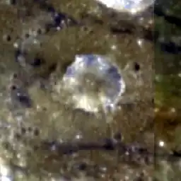 Снимок зонда Clementine.