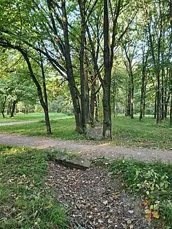 Канавки парка и мостики-переходники между ними часто находятся в таком состоянии (сентябрь 2024 г.).