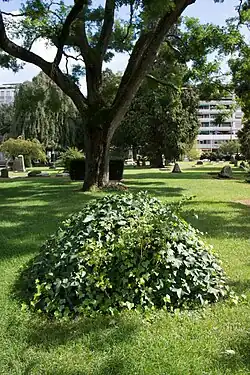 Ружмон, Дени де