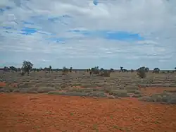 Пустыня к западу от Виндоры