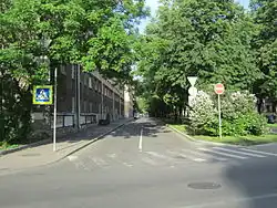 Вид от Лесного проспекта