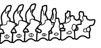 Dinheirosaurus13 июня 2019 года