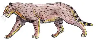 Динофелисы