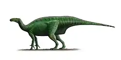 Dollodon