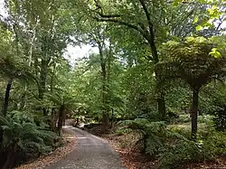 Усадьба Дунгалла