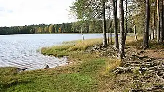 Побережье озера осенью 2011 года