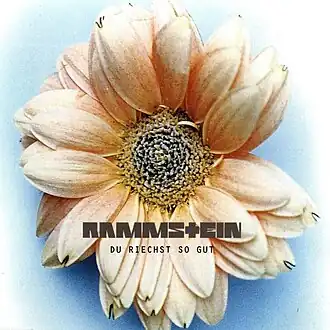 Обложка сингла Rammstein «Du riechst so gut» (1995)
