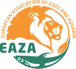 Изображение логотипа