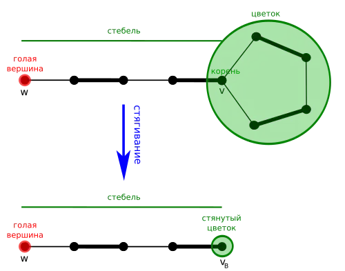 Пример цветка