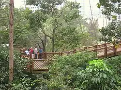 Гонконгский парк9 мая 2017