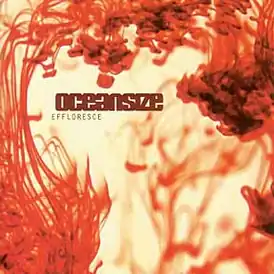 Обложка альбома Oceansize «Effloresce» (2003)