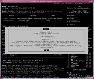 Скриншот программы ELinks