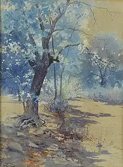 Trees in Summer