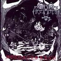 Обложка альбома Enslaved «Hordanes Land» (1993)